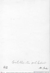 Historisches Foto (Rückseite) von Bullariscus arcuotorus (Robins, Feldmann & Schweitzer, 2013) (NHMW-AFW-GEO-BACHMAYER-FOTO-1990-0041-0456)